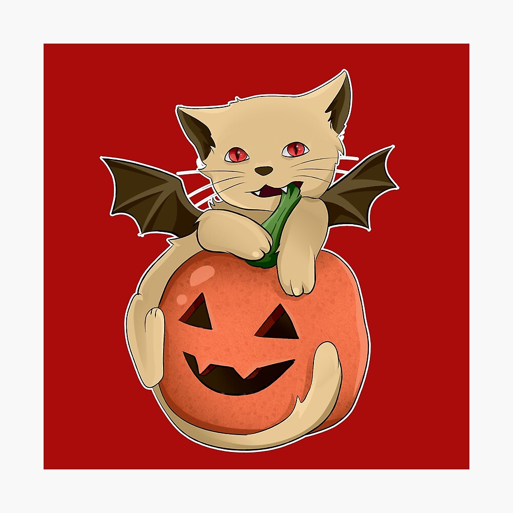 Halloween Cat Meme | canoeracing.org.uk