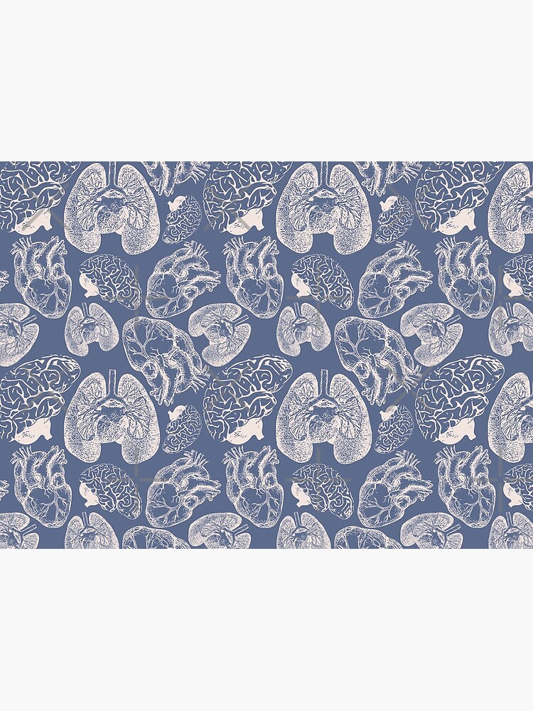 Anatomical Organs - White on Blue by beththompsonart