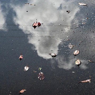Artwork thumbnail, Fall Cloud by Alan Klughammer