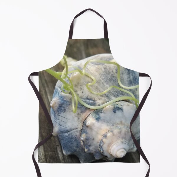 Item preview, Squash Vine Finds Whelk Shell designed and sold by MooseDogPhotos.