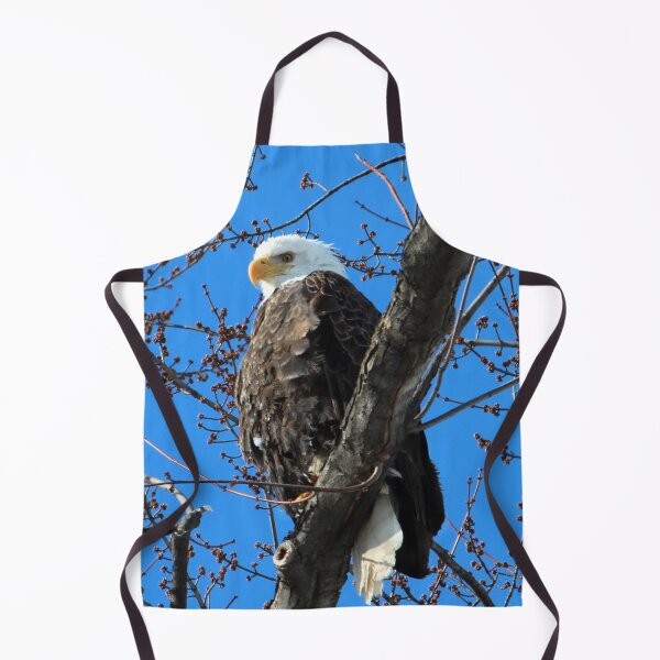 Item preview, Bald Eagle designed and sold by Susie Kramer.