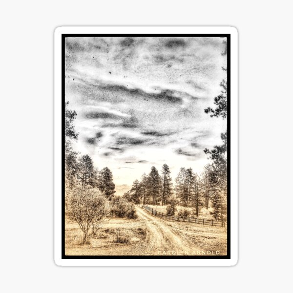 Colorado Landscape Sticker