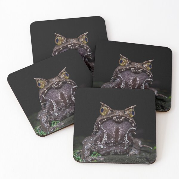 Item preview, Kobayashi's Horned Frog designed and sold by Steven Allain.