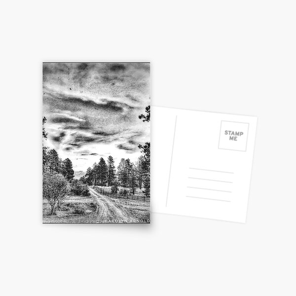 Colorado Landscape Postcard
