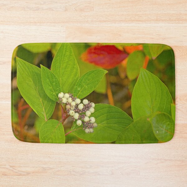 Item preview, White dogwood berries and leafs designed and sold by xophotography.