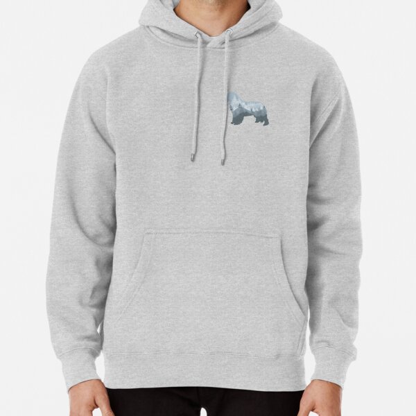 Hoodie (Pullover)