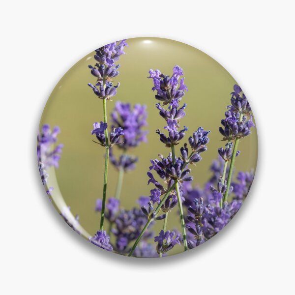 Item preview, Lavender flower designed and sold by EngineerGoC.