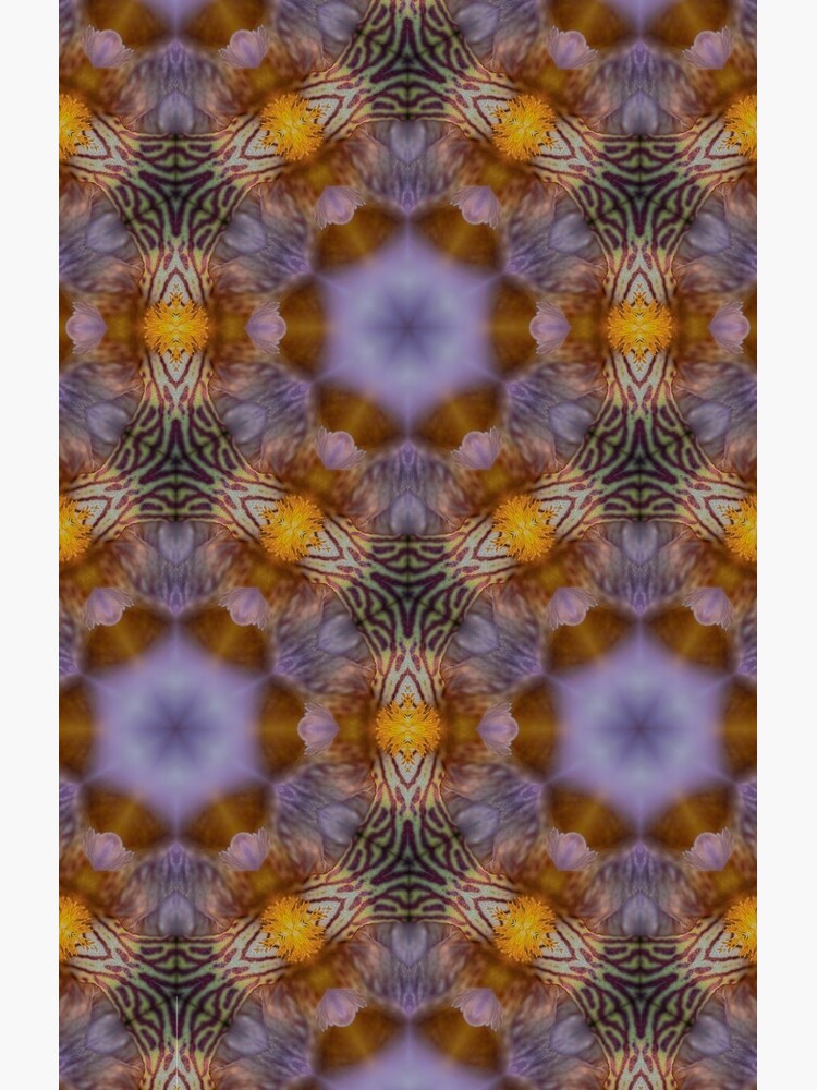 Flower  kaleidoscope by WendyLeyten