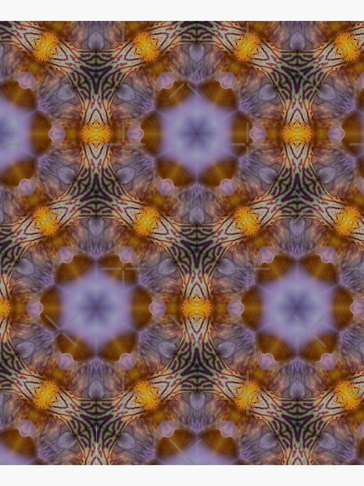 Flower kaleidoscope by WendyLeyten