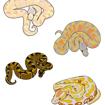 Artwork thumbnail, Ball Python Sticker Pack by Valeria Uvalle