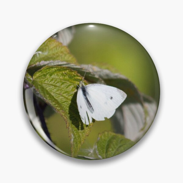 Item preview, Cabbage White Butterfly 2 designed and sold by Susie Kramer.
