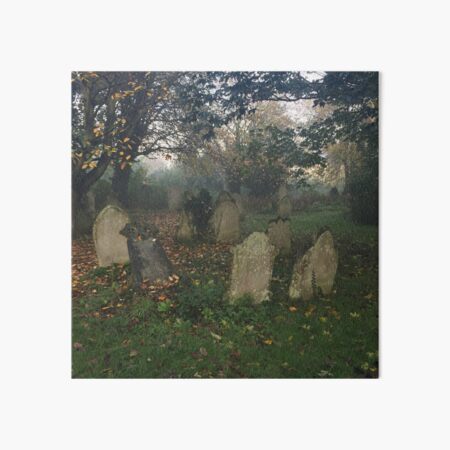 Misty graveyard Art Board Print