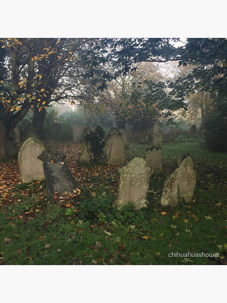 Misty graveyard by chihuahuashower