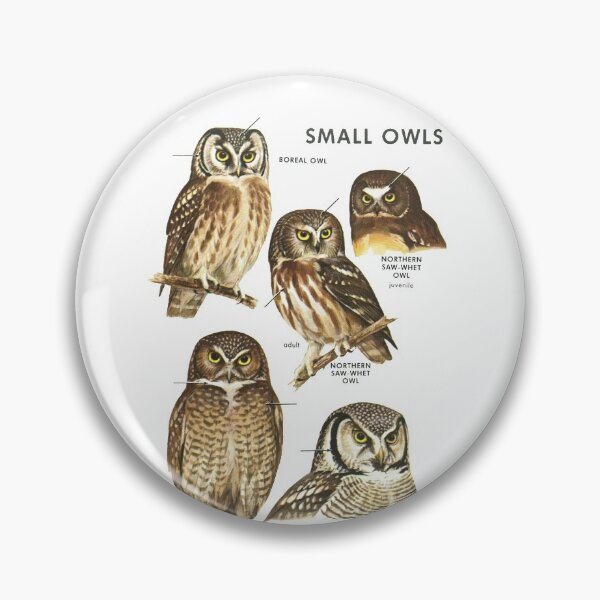 Item preview, Small Owls - Ornithology Owl Study designed and sold by elevens.
