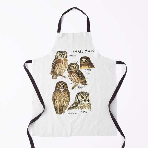 Item preview, Small Owls - Ornithology Owl Study designed and sold by elevens.
