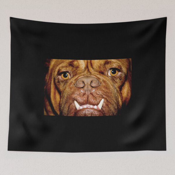 Item preview, Dog face designed and sold by BarvinWayne.