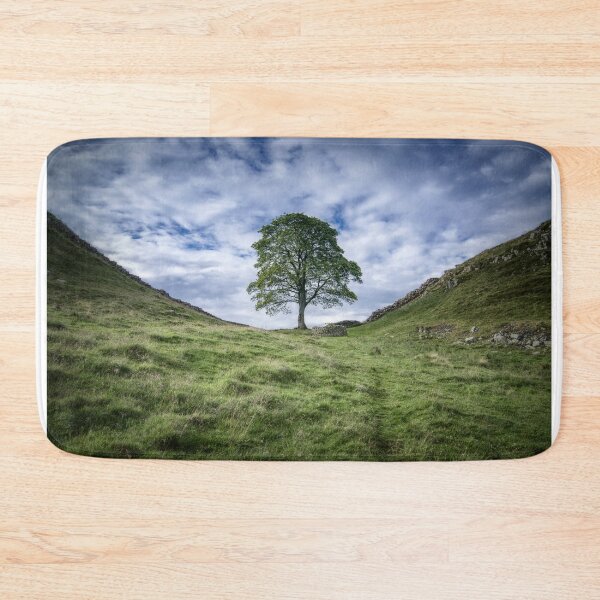 Item preview, The Tree at Sycamore Gap 2 designed and sold by David Lichtneker.
