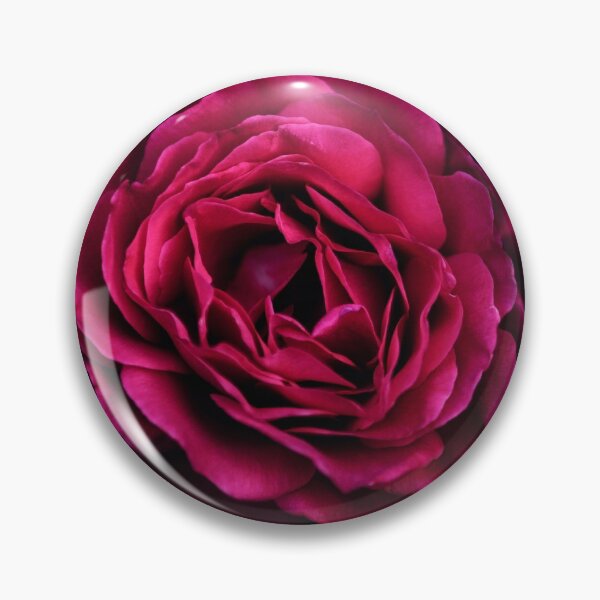 Item preview, Rose designed and sold by drazenka.
