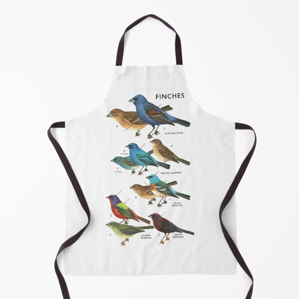 Item preview, Colorful Finches - Ornithology Study Illustration designed and sold by elevens.