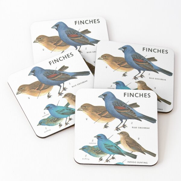 Item preview, Colorful Finches - Ornithology Study Illustration designed and sold by elevens.
