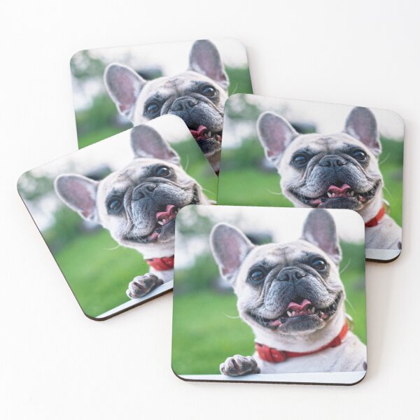 Item preview, Fun Dog designed and sold by STARWIN MART.