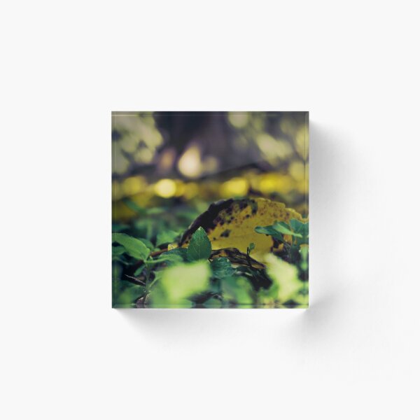 Fall Vibes Acrylic Block
