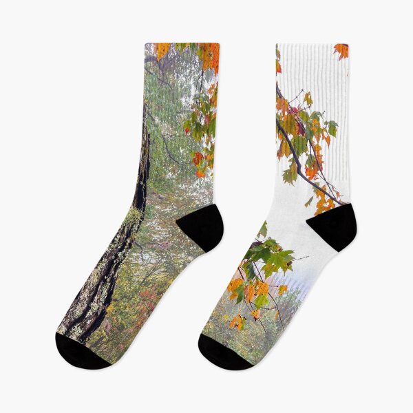 Item preview, Virgies Place - Fall Colors in the Mist designed and sold by CrumblissArt.