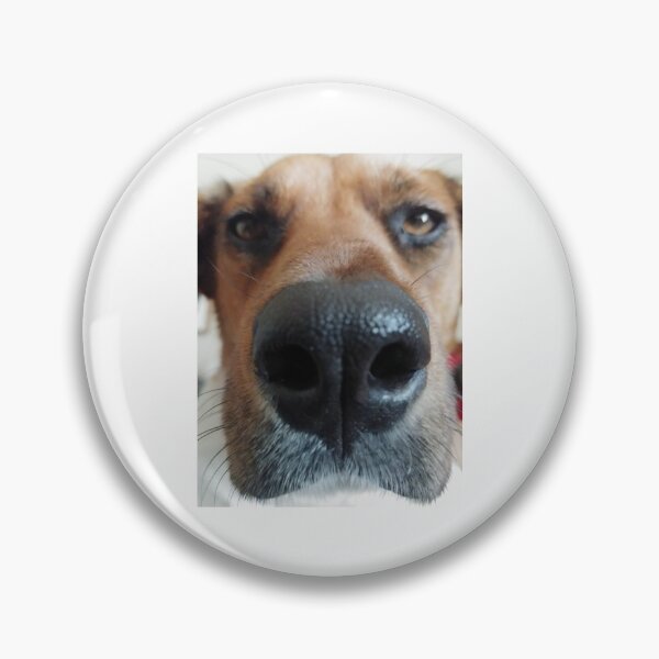 Item preview, Funny dog face designed and sold by BarvinWayne.