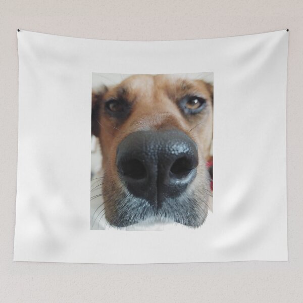 Item preview, Funny dog face designed and sold by BarvinWayne.