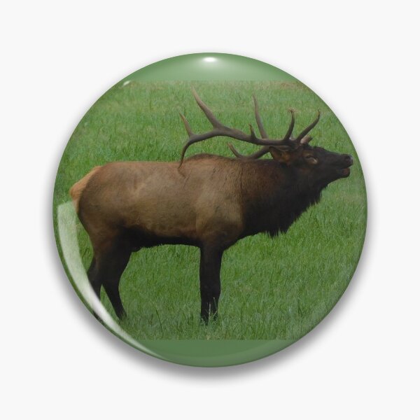 Item preview, Elk Scream designed and sold by CamelCorruption.