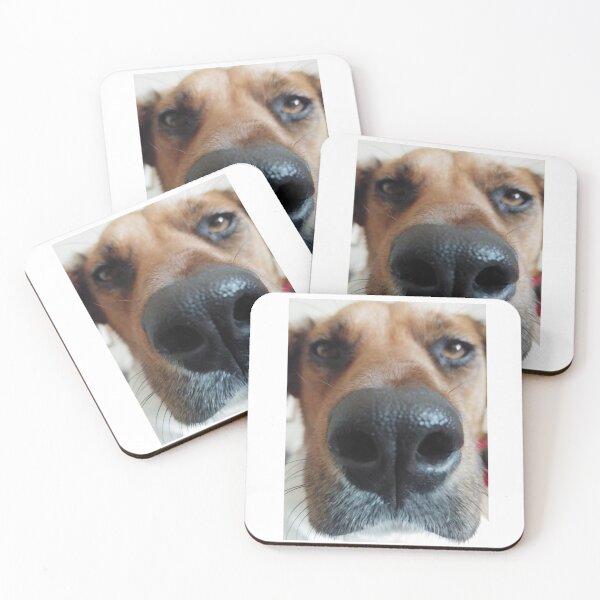 Item preview, Funny dog face designed and sold by BarvinWayne.