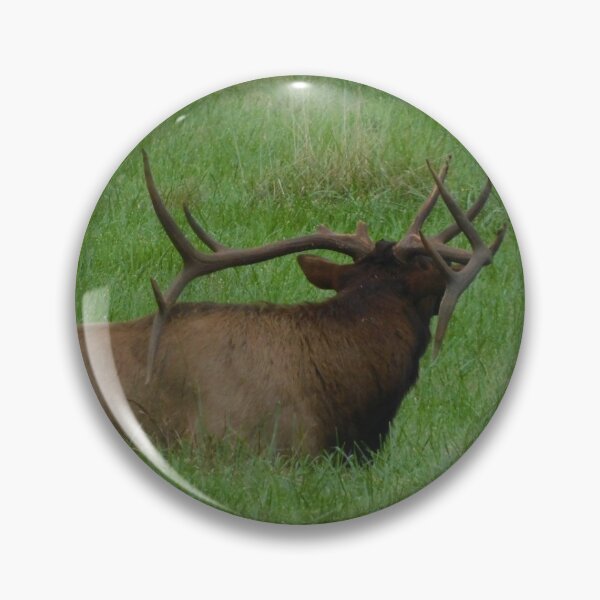 Item preview, Sitting Elk Back designed and sold by CamelCorruption.