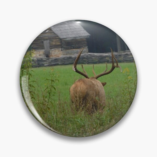 Item preview, Elk in Front of Building designed and sold by CamelCorruption.