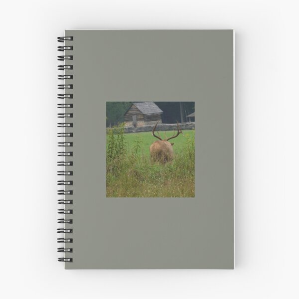 Item preview, Alce frente al edificio designed and sold by CamelCorruption.