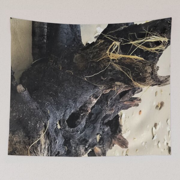 Item preview, Driftwood on the Beach designed and sold by MooseDogPhotos.