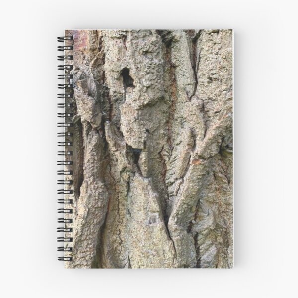 Item preview, Tree Grooves Photography designed and sold by Art With Impact – Statement Art & Apparel for Deep Thinkers.