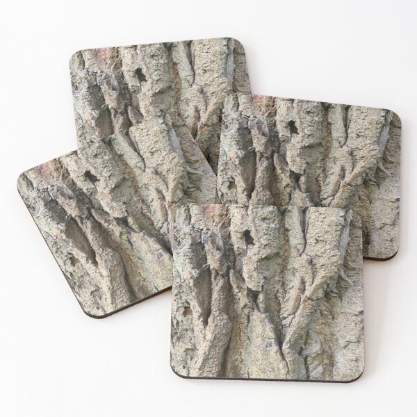 Item preview, Tree Grooves Photography designed and sold by Art With Impact – Statement Art & Apparel for Deep Thinkers.