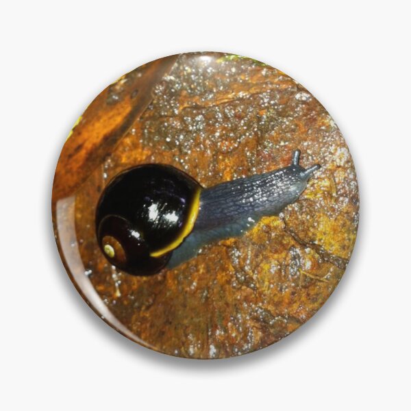 Item preview, Otways snail designed and sold by greentiger1.
