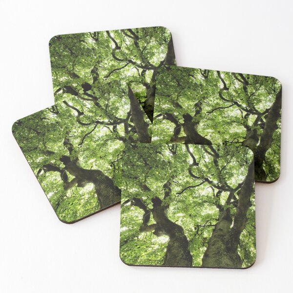 Item preview, Tree designed and sold by Walter Quirtmair.