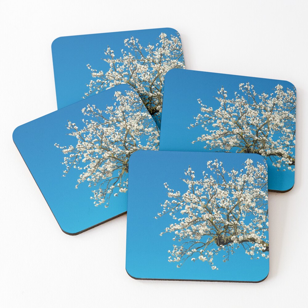 Item preview, Coasters (Set of 4) designed and sold by walterq.