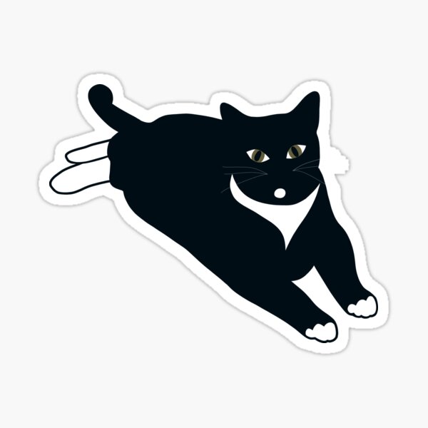 Tuxedo Cat Gifts & Merchandise | Redbubble