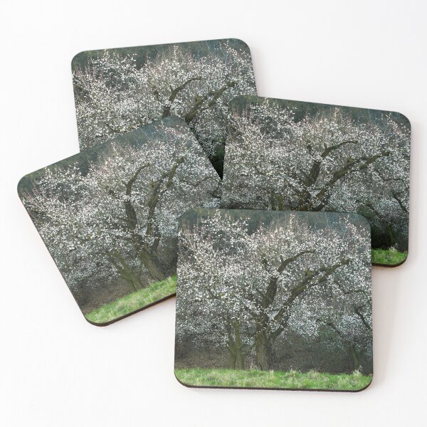 Item preview, Blooming Tree designed and sold by Walter Quirtmair.