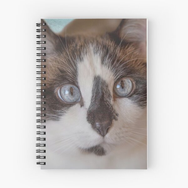 Item preview, The Cutest Snowshoe Cat designed and sold by Elisabeth Lucas.