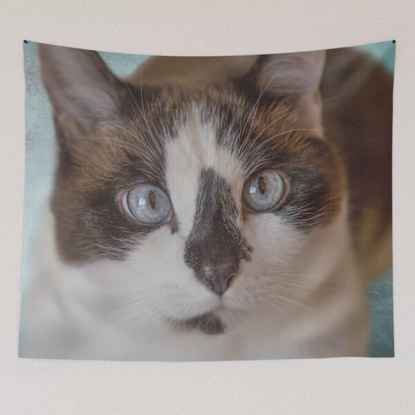 Item preview, The Cutest Snowshoe Cat designed and sold by Elisabeth Lucas.