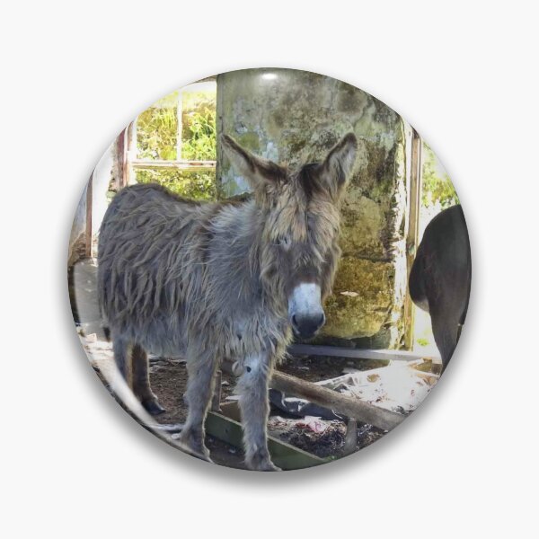 Item preview, Donkeys of Blasket Island designed and sold by Shay Murphy.