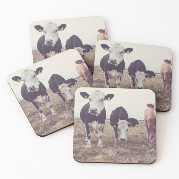 Item preview, Curious Cows designed and sold by Shay Murphy.