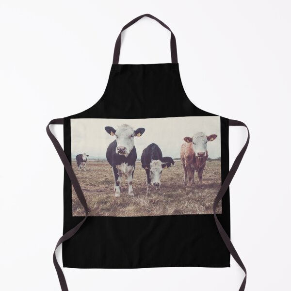 Item preview, Curious Cows designed and sold by Shay Murphy.