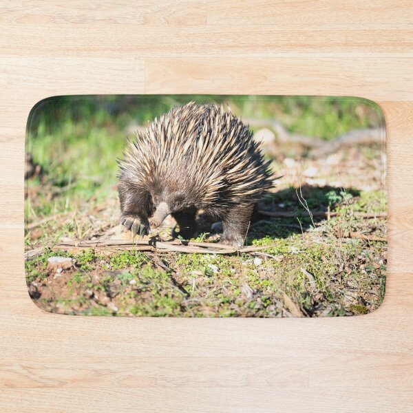Item preview, Ambling Echidna designed and sold by Varietas.