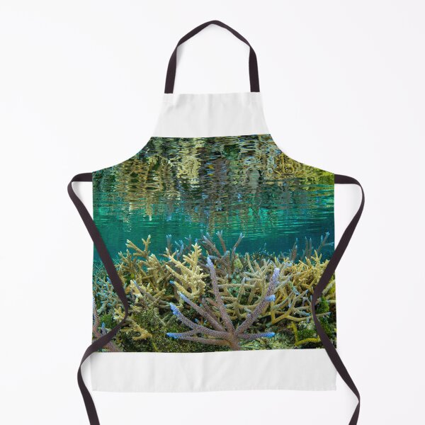 Item preview, Coral Reflection 1 designed and sold by ISLANDEXPOSURE.
