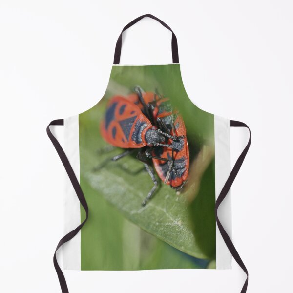 Item preview, insect "red gendarmes" (1) by Olao-Olavia / Okaio Créations 2015 by fz 1000 400.000 photos framings different picture on request on each support designed and sold by o.okaïo.